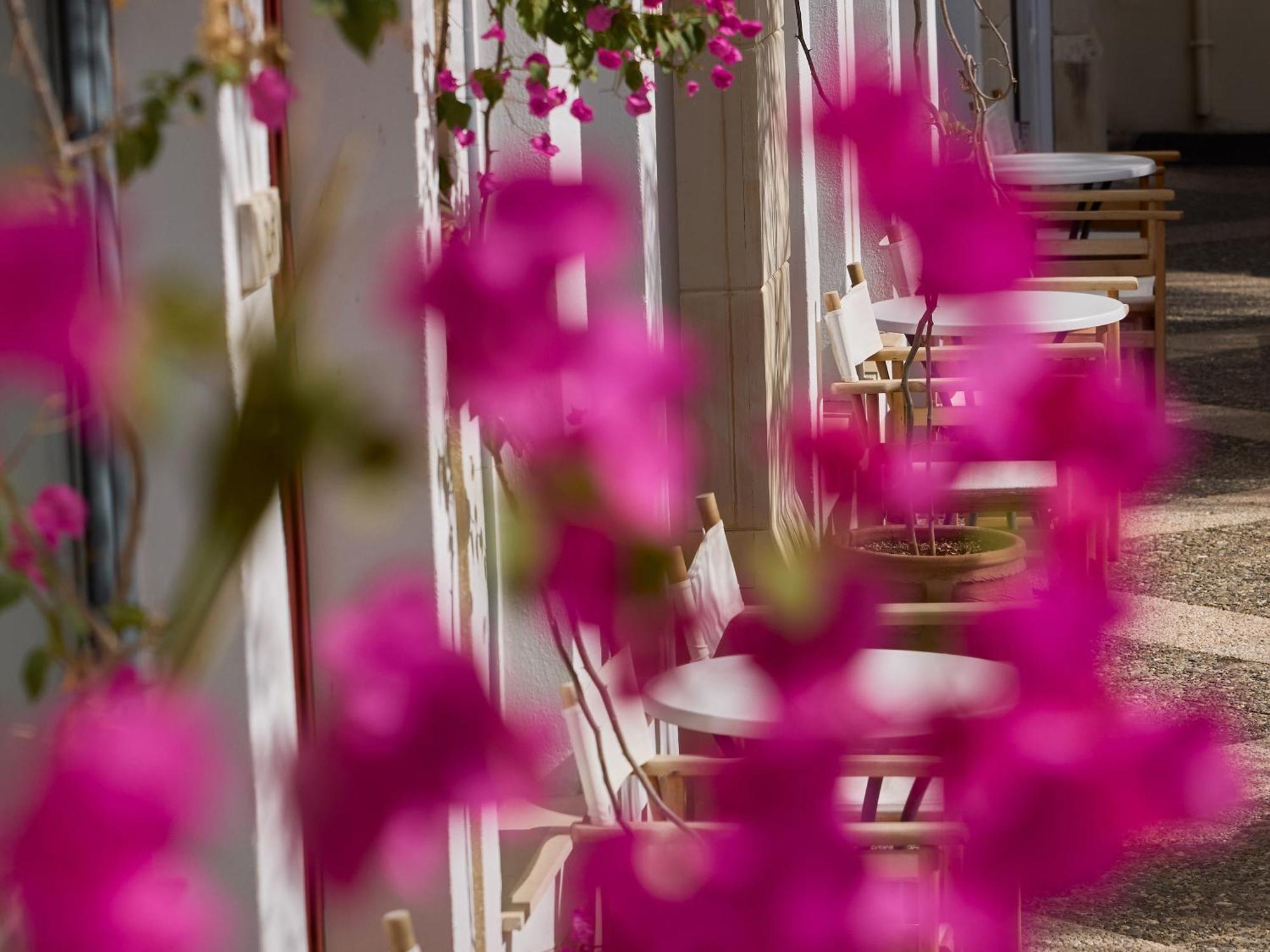 Grecotel Plaza Beach House Rethymno  Exterior photo